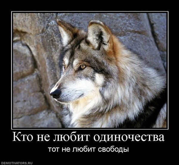 Сергей Сергей