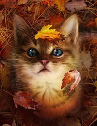 Натали Орлова