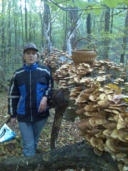 Лена Вихляева