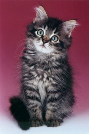 Юля Григорьева