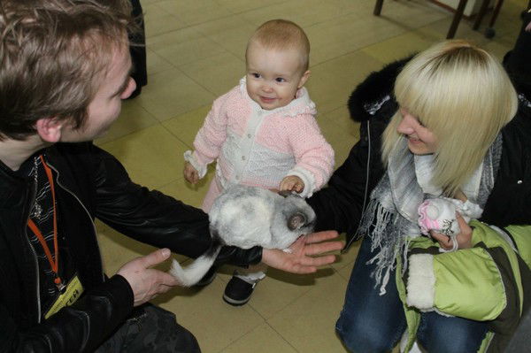 Елена Никитина