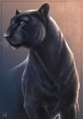 Даша Шульженко