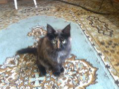 Влад Куклев