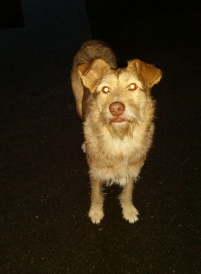 Андрей Булочников