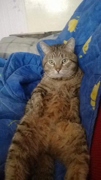 Владислав Шунков