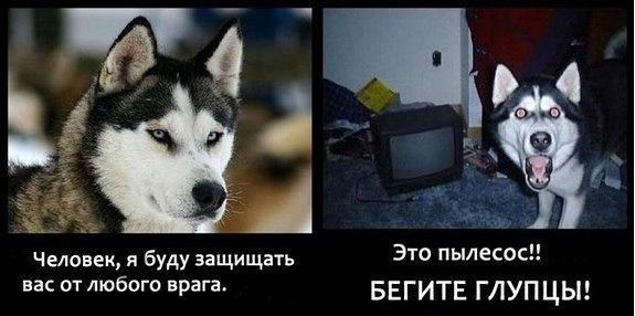 Гена Гунько