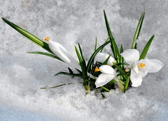 Татьяна Барсукова