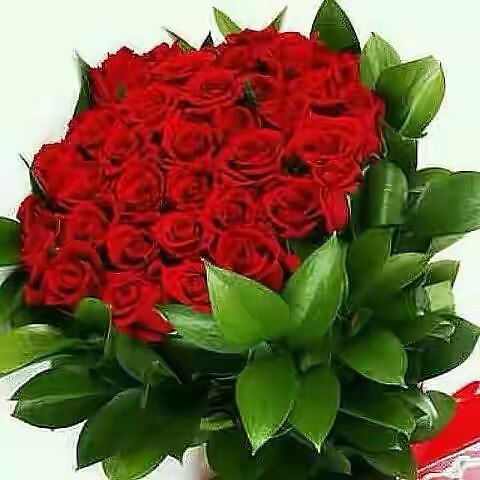 Турсынкыз Шымырова