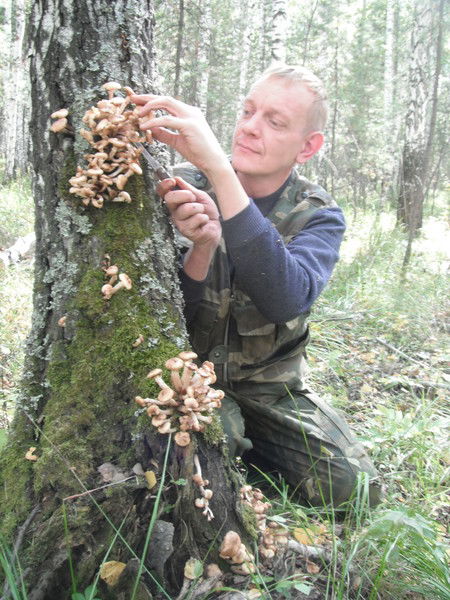 Михаил Банных