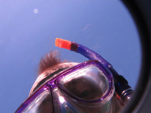 Борозенец Владимир