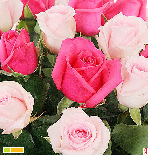 Сауле Кенжебекова