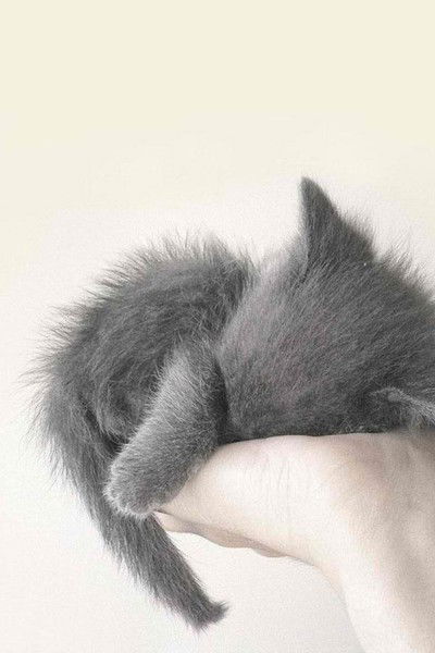 Настя Васильева