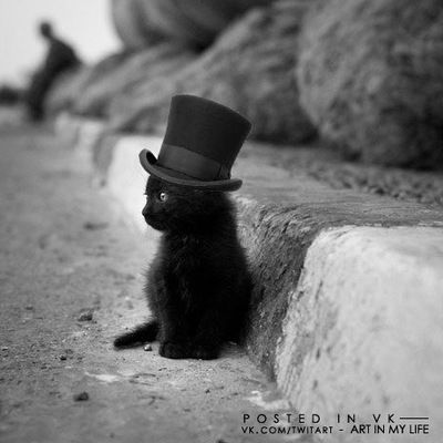 Андрей Кругликов