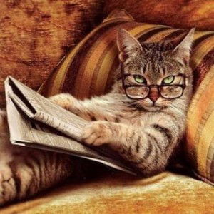 Елена Палатова