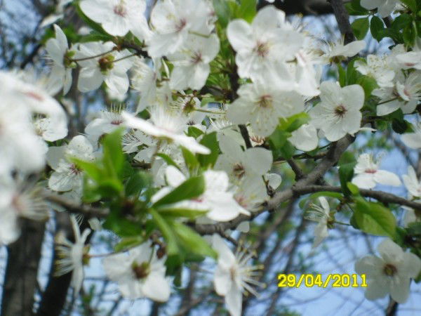 Ирина Андреева