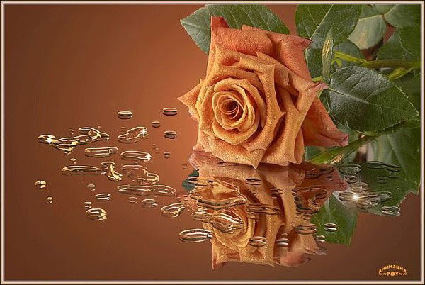 Акмарал Курбанова