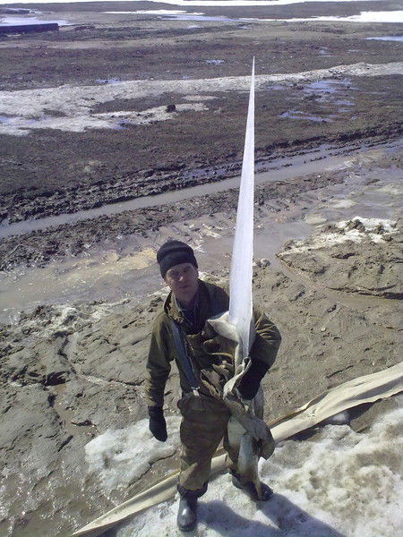 Андрей Кудрявцев