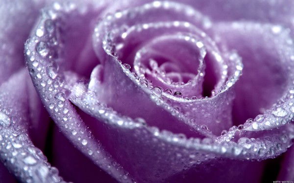 Наташа Чуйко