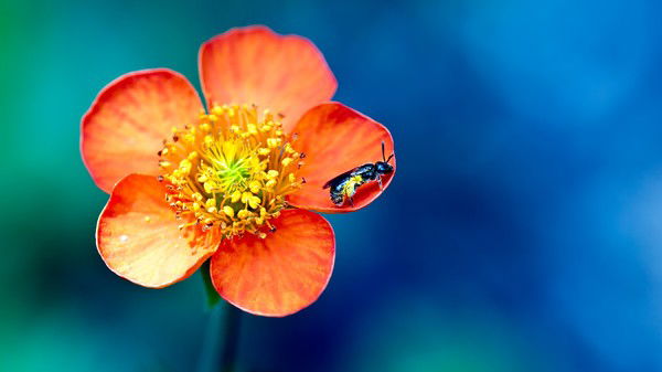 Ddt-Buh Бухгалтерия Ддт Снежногорск