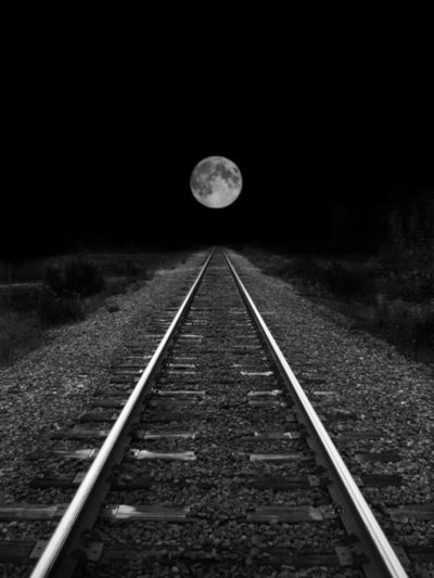 Сергей Бородавка