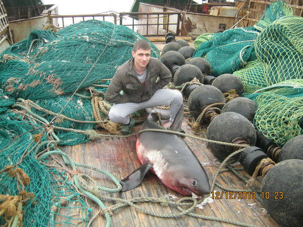 Владислав ...........