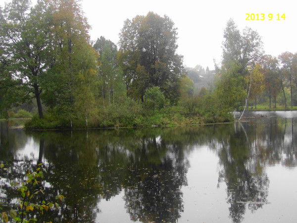 Светлана Сорокина