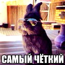 Наташа Чумакова
