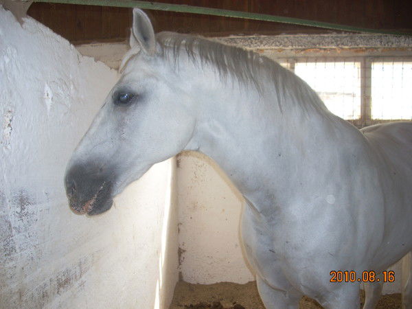 Дашулька Комарова