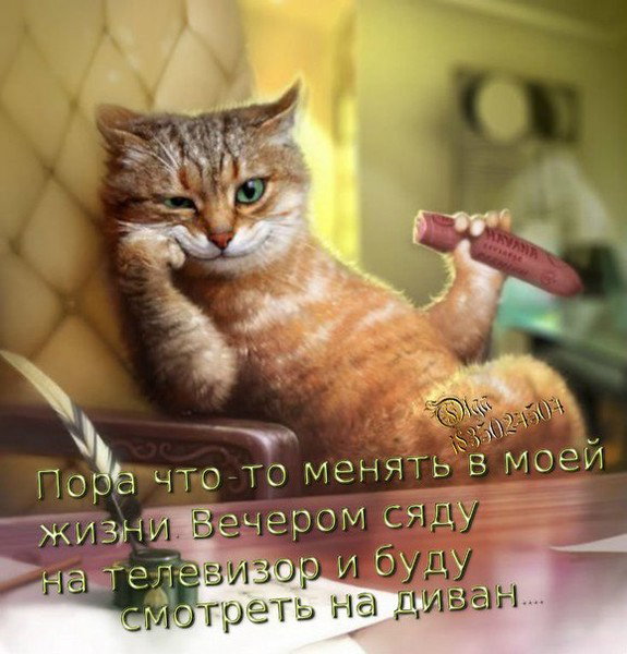 Слава Лысенков