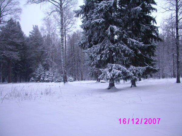 Эльмира Гималова