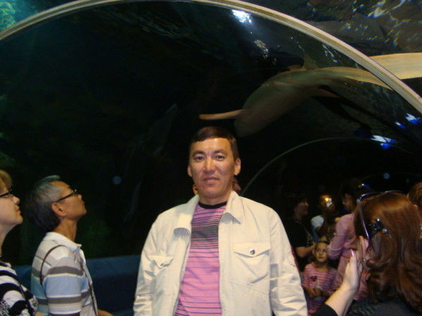 Нурбол Омаров