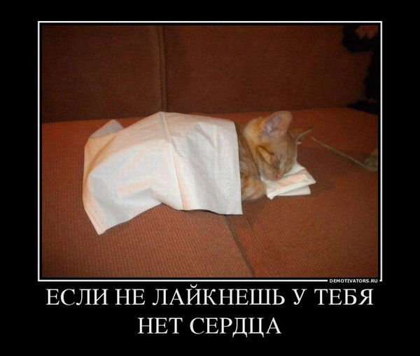 Серёга Возняк