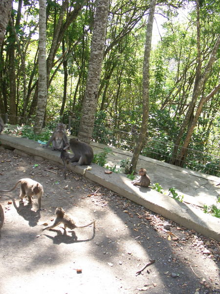 А.н. Левичев