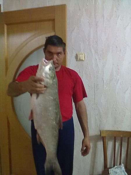 Рамиль Сибгатуллин