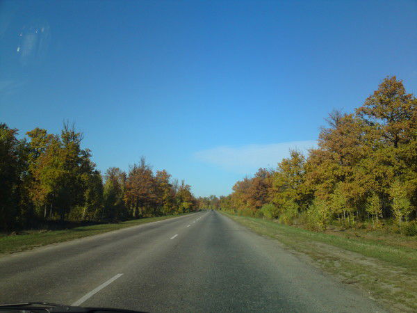 Виктор Устюжанин