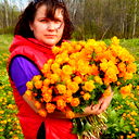 лана лана