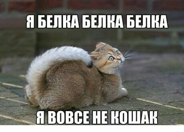 Валентина Кравцова