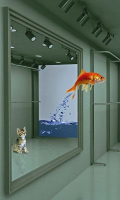 Виктория Арыпбекова