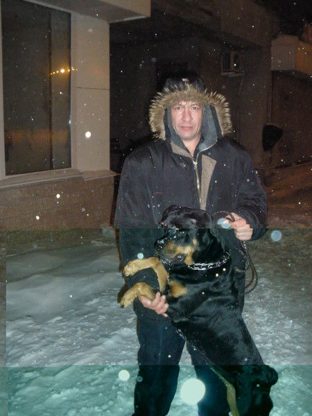 Вадим Царев