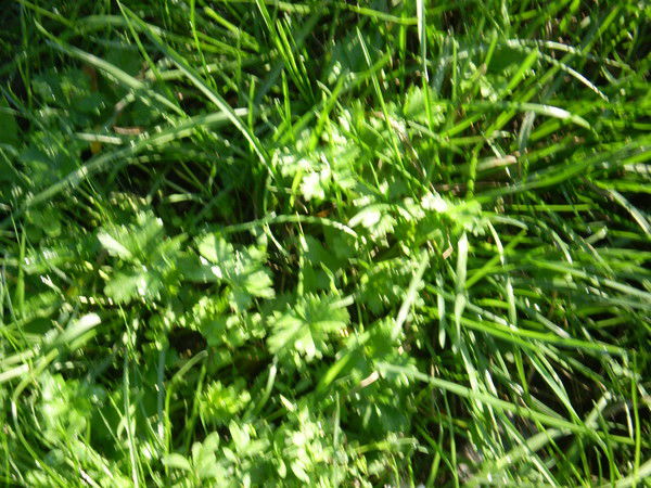 Мария Жукова