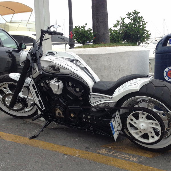 Владимир Владимирович