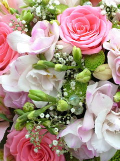 Марина Теренина