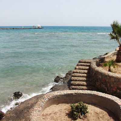 Оксана Цветкова