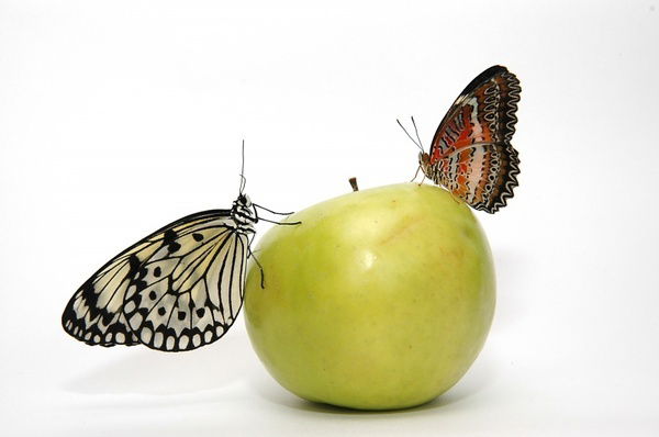 Татьяна Петренко