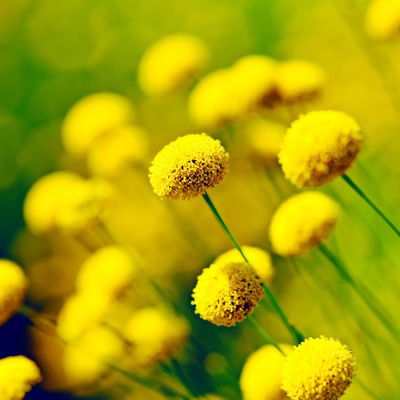 Таня Тиховская