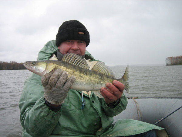 Дмитрий Антонов