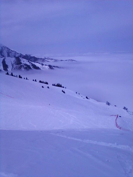 Николай Стяжков