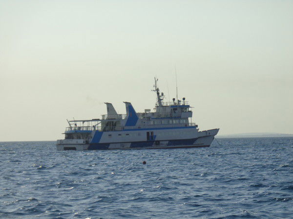 Эльвира Гизатуллина