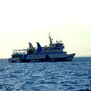 Эльвира Гизатуллина