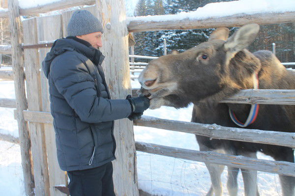 Сергей Рыбаков